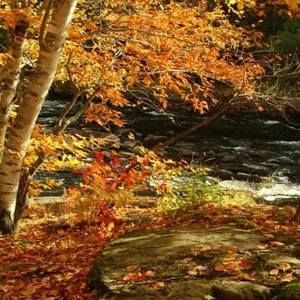 Meet your Posher, Sally